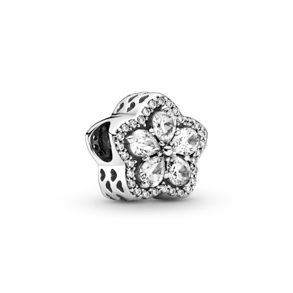 Lady's Pandora 799224C01