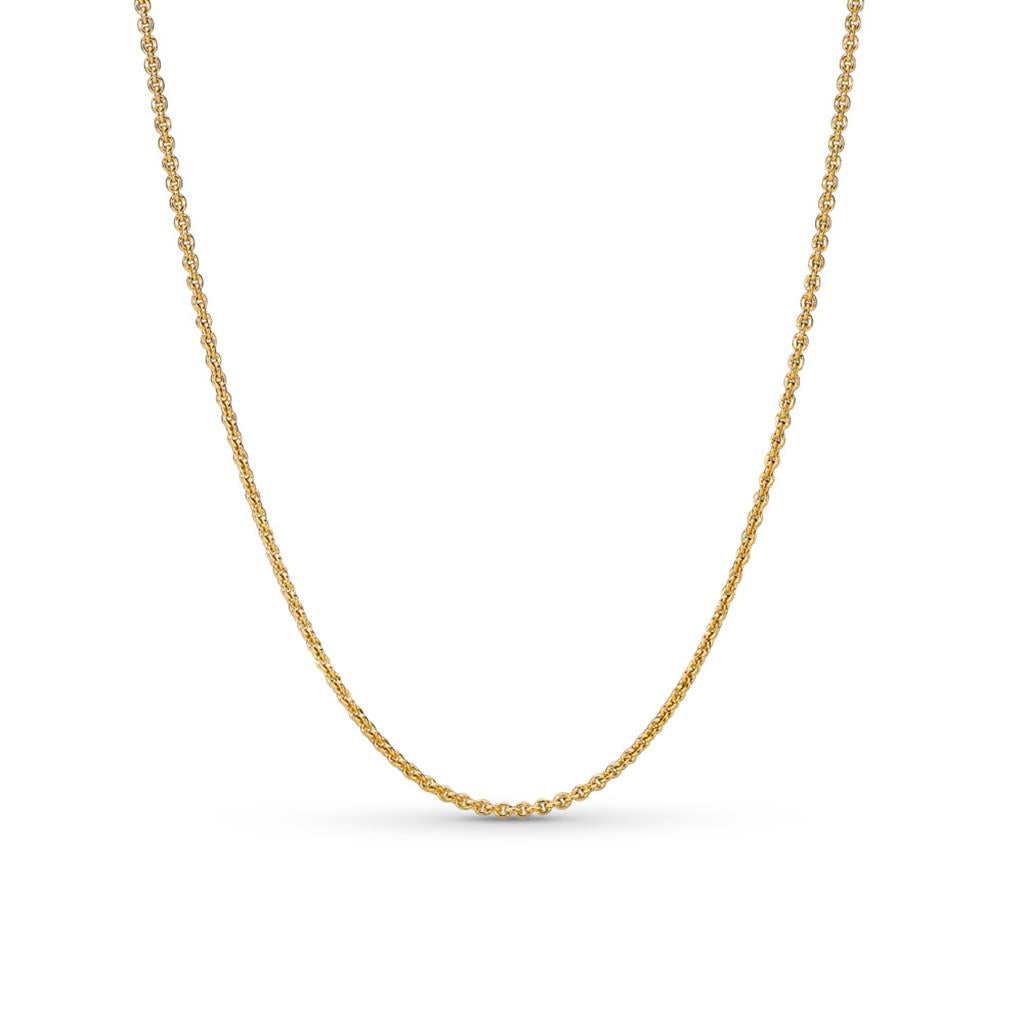 Pandora Shine Necklace