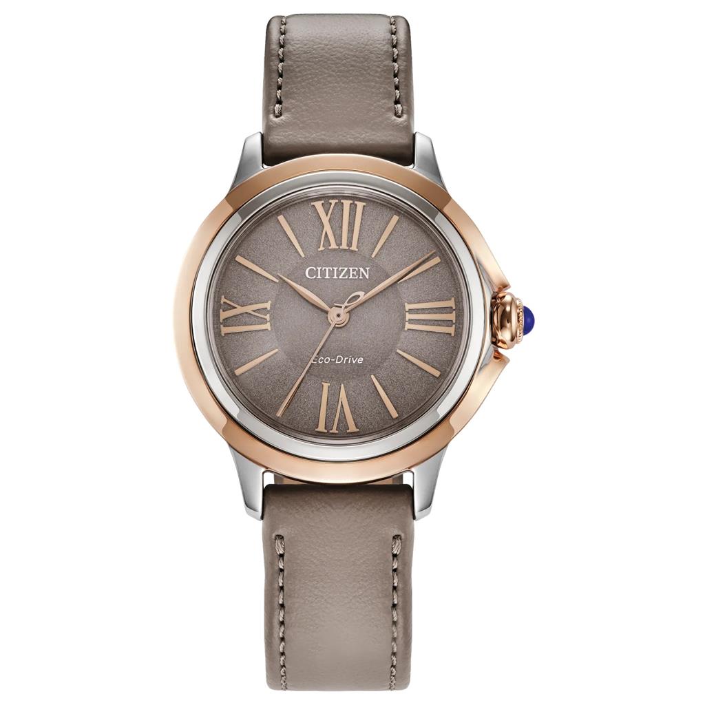 Lady's Citizen EM1166-01Z
