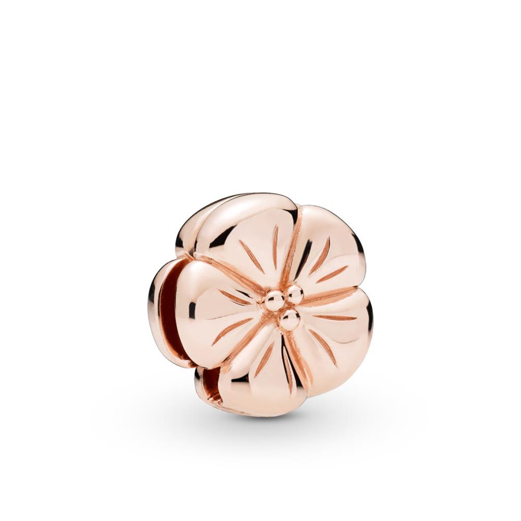 Lady's Pandora 787897