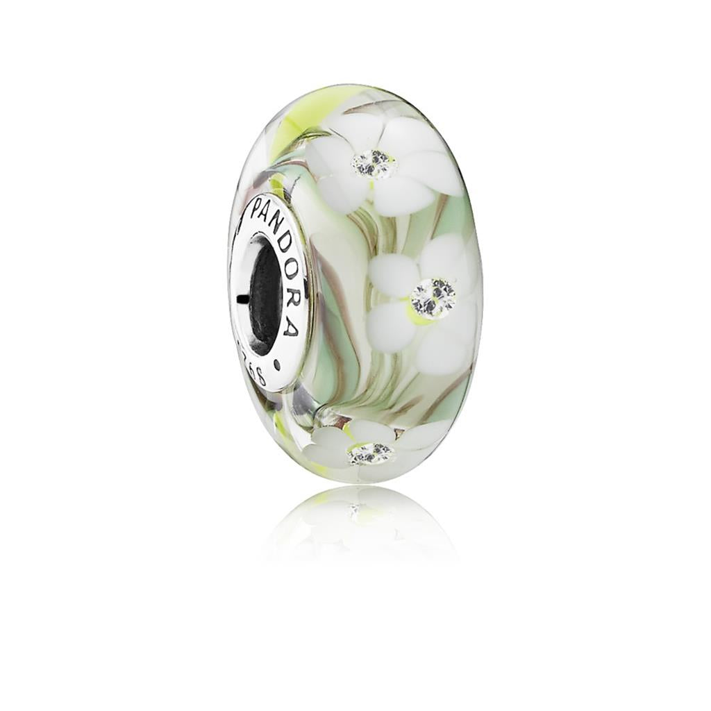 wild flowers, clear CZ