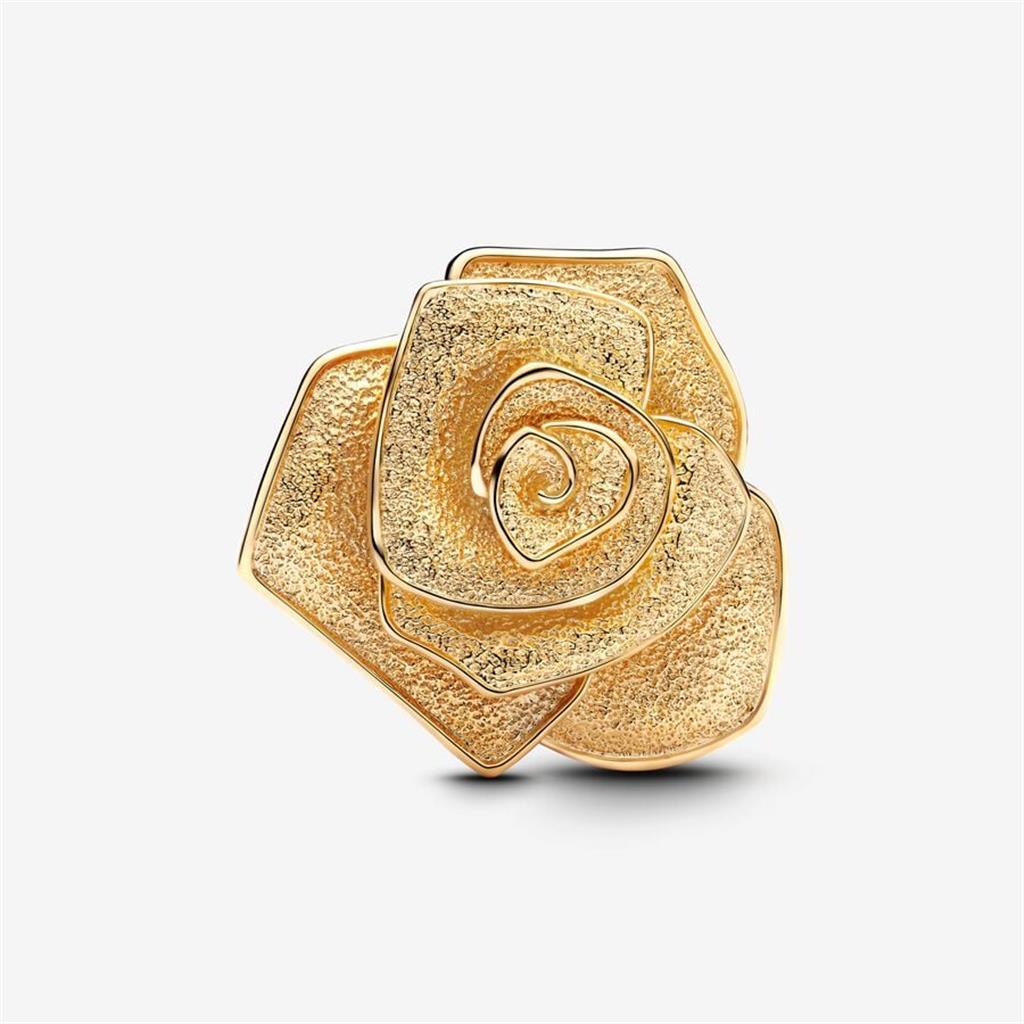 Lady's Pandora 763675C00