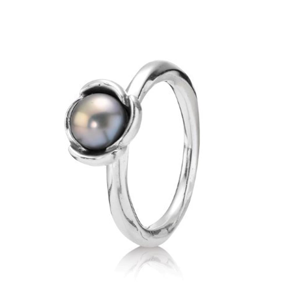 my wish, grey pearl