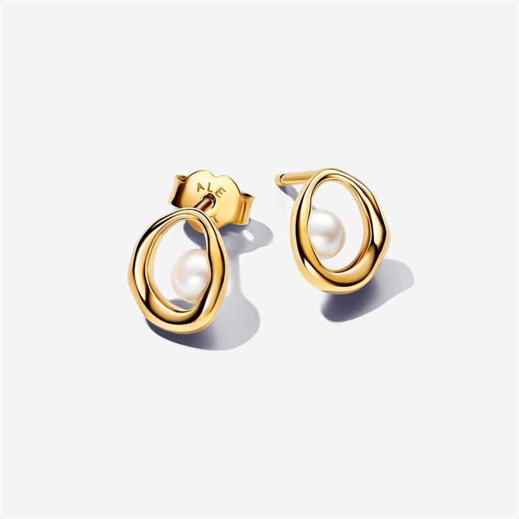 Lady's Pandora 263295C01