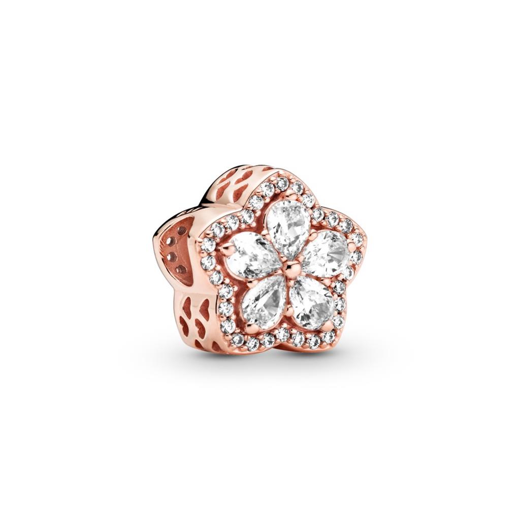 Lady's Pandora 789224C01