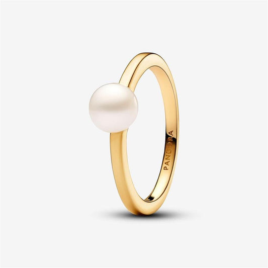 Lady's Pandora 163157C01-54