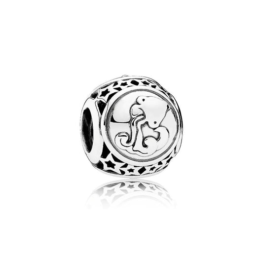 Aquarius Star Sign