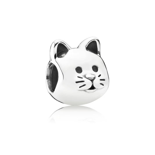 curious cat