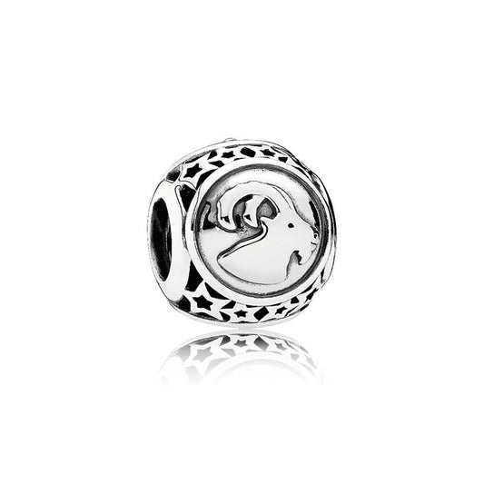 Capricorn Star Sign