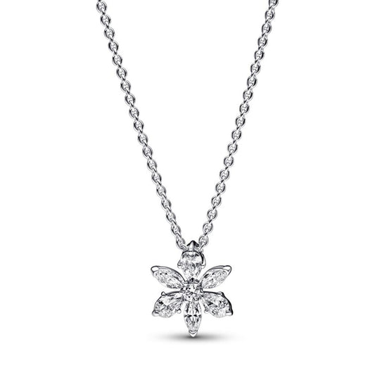 Lady's Pandora 392387C01-45