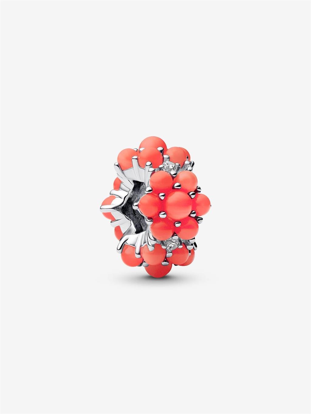 Lady's Pandora 793897C01