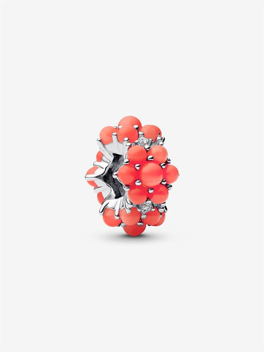 Lady's Pandora 793897C01