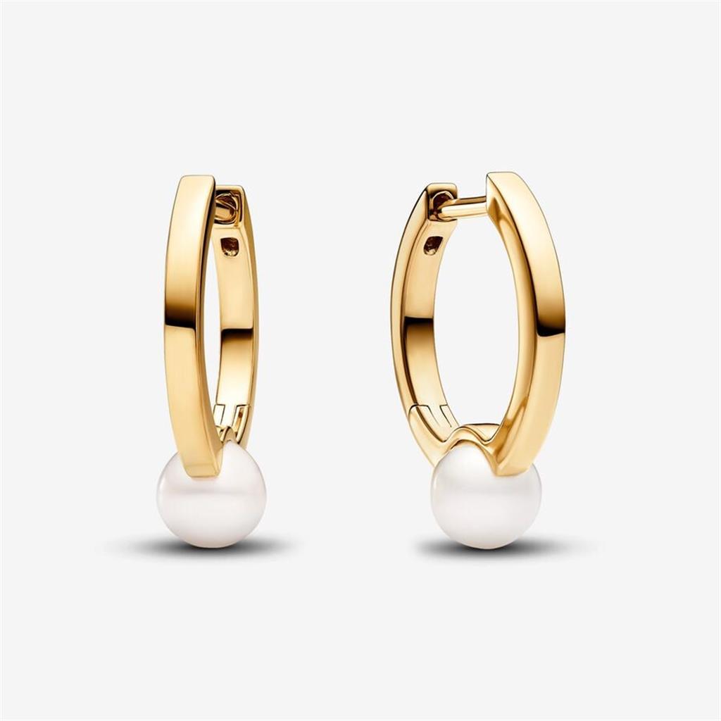 Lady's Pandora 263170C01