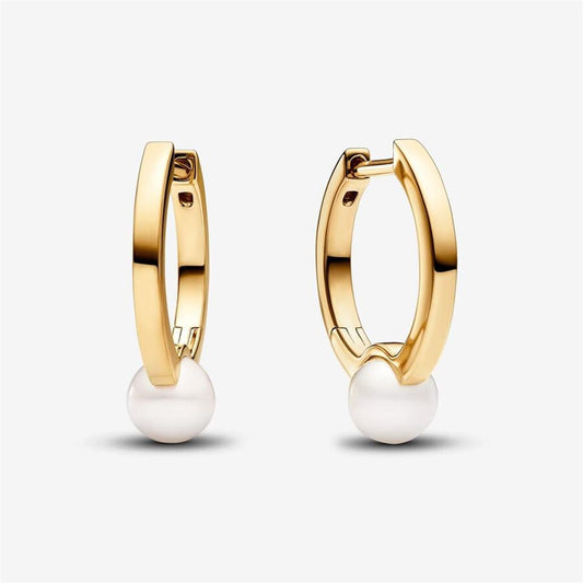 Lady's Pandora 263170C01